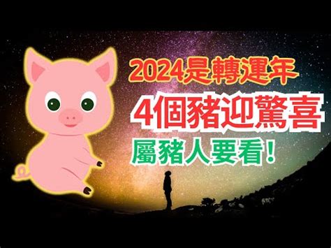 屬豬幸運色2024|豬年開運必備幸運色